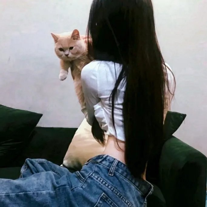 新乌龙女校2
