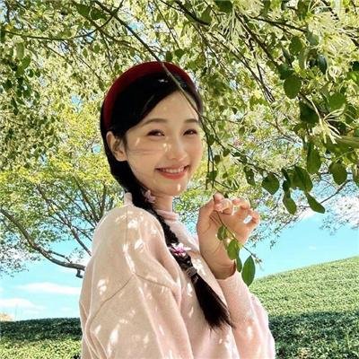 大侠梅花鹿